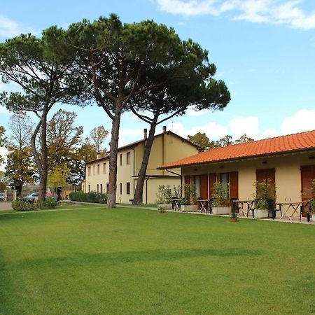 Villa Rosy Torre del Lago Puccini Eksteriør bilde